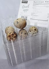 Hole quail egg for sale  Delivered anywhere in USA 