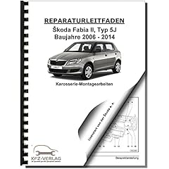 Skoda fabia 2006 gebraucht kaufen  Wird an jeden Ort in Deutschland