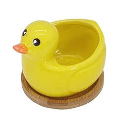 Gemseek cute duck for sale  Delivered anywhere in USA 