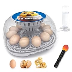 Cluchiegg egg incubator for sale  Delivered anywhere in USA 