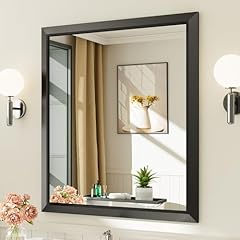 Briivue 36x32 inch for sale  Delivered anywhere in USA 