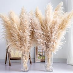 Tall pampas grass for sale  Delivered anywhere in USA 