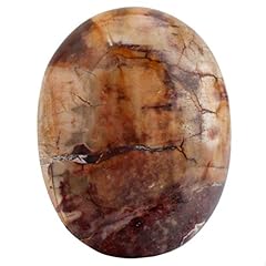 Nupuyai versteinertes holz gebraucht kaufen  Wird an jeden Ort in Deutschland