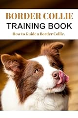 Border collie training for sale  Delivered anywhere in USA 