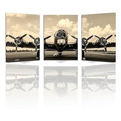 Vefacaiyo airplane picture for sale  Delivered anywhere in USA 
