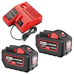 2pack 18v 12.0ah for sale  Delivered anywhere in USA 