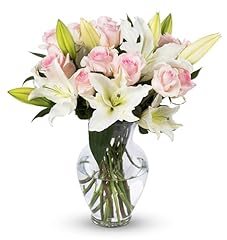 Benchmark bouquets roses for sale  Delivered anywhere in USA 