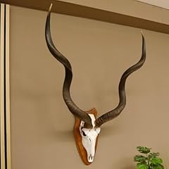 Kudu antilope horn d'occasion  Livré partout en France
