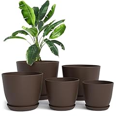 Utopia home plastic for sale  Delivered anywhere in USA 