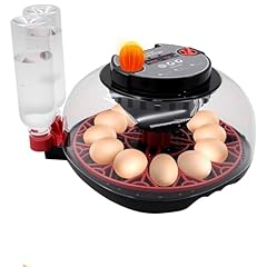 Incubator hatching eggs for sale  Delivered anywhere in USA 
