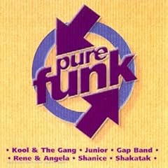 Pure funk d'occasion  Livré partout en France