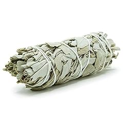 Glofx white sage for sale  Delivered anywhere in USA 