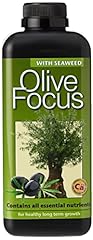 Olive focus liquid for sale  Delivered anywhere in UK