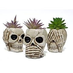 Beekusa resin skull for sale  Delivered anywhere in USA 