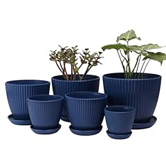 Ihdyppew pack planters for sale  Delivered anywhere in USA 