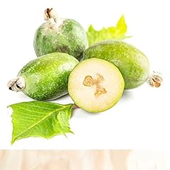Pineapple guava fruit for sale  Delivered anywhere in USA 