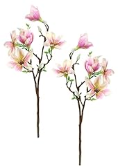 Künstlicher magnolienzweig ku gebraucht kaufen  Wird an jeden Ort in Deutschland