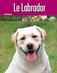 Labrador d'occasion  Livré partout en France