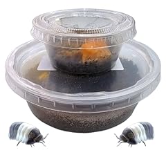 Panda king isopods for sale  Delivered anywhere in USA 