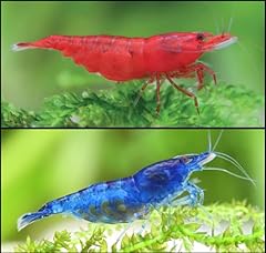 Aquatics mixbr 06 for sale  Delivered anywhere in UK