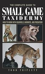 Small game taxidermy for sale  Delivered anywhere in UK