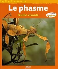 Phasme feuille vivante d'occasion  Livré partout en Belgiqu