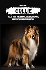 Collie auswahl haltung gebraucht kaufen  Wird an jeden Ort in Deutschland