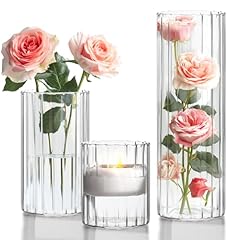 Comsaf glass cylinder for sale  Delivered anywhere in USA 