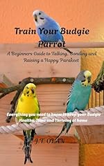 Train budgie parrot for sale  Delivered anywhere in USA 