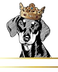 German pinscher dog for sale  Delivered anywhere in UK