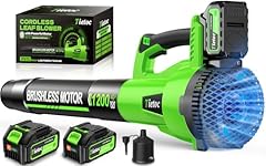 Tietoc leaf blower for sale  Delivered anywhere in USA 