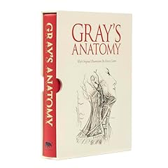 Gray anatomy slip for sale  Delivered anywhere in USA 