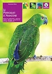 Perroquet amazonie d'occasion  Livré partout en France