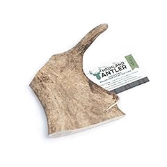 Highland antler natural for sale  Delivered anywhere in UK