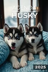 Agenda 2025 husky d'occasion  Livré partout en France