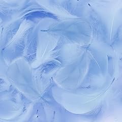 Mbsomnus feathers crafting for sale  Delivered anywhere in UK