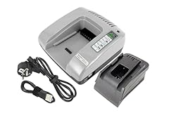 Powersmart 20v 36v d'occasion  Livré partout en France