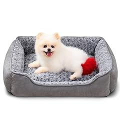 Oiilores small dog for sale  Delivered anywhere in UK
