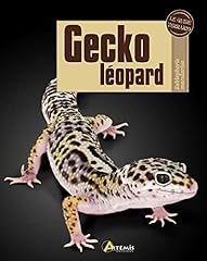 Gecko léopard eublepharis d'occasion  Livré partout en Belgiqu