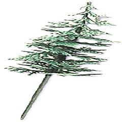 Oasis supply evergreen for sale  Delivered anywhere in USA 