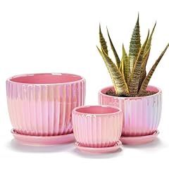 Ton sin pink for sale  Delivered anywhere in USA 