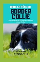 Tête border collie d'occasion  Livré partout en France
