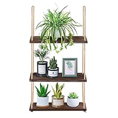 Yazoo hanging shelf for sale  Delivered anywhere in USA 