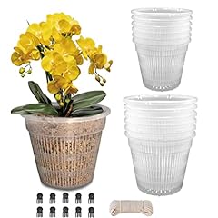 Tialero orchid pot for sale  Delivered anywhere in USA 