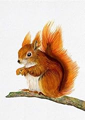 Red squirrel watercolour for sale  Delivered anywhere in UK