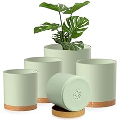 Homeuouz pack plastic for sale  Delivered anywhere in UK