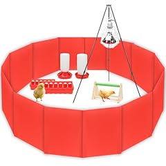 Gifank chick brooder for sale  Delivered anywhere in USA 