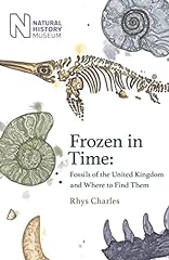 Frozen time fossils for sale  Delivered anywhere in UK