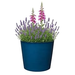 Gardening naturally blue for sale  Delivered anywhere in UK