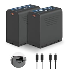 Neewer basics batteria usato  Spedito ovunque in Italia 